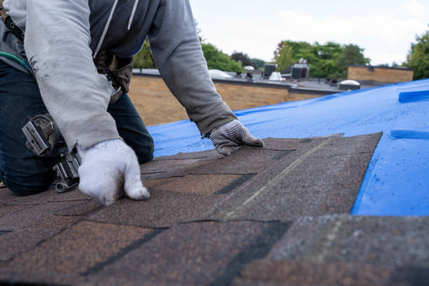 Best Roof Waterproofing Services  in Machias, WA