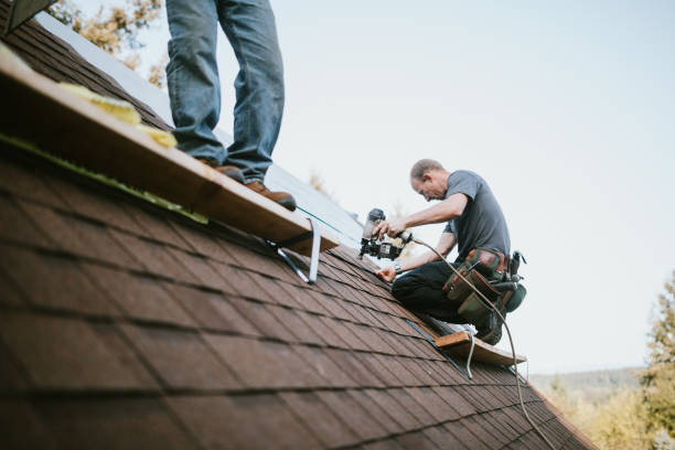 Best Roof Gutter Cleaning  in Machias, WA